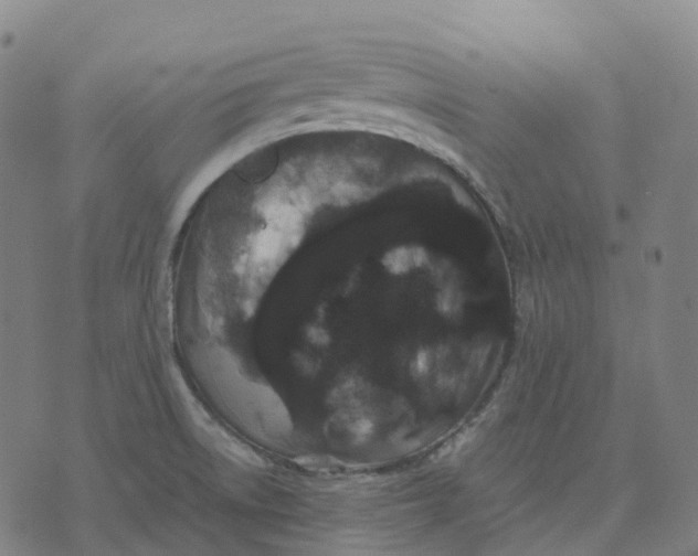 X0000071781522200607211544