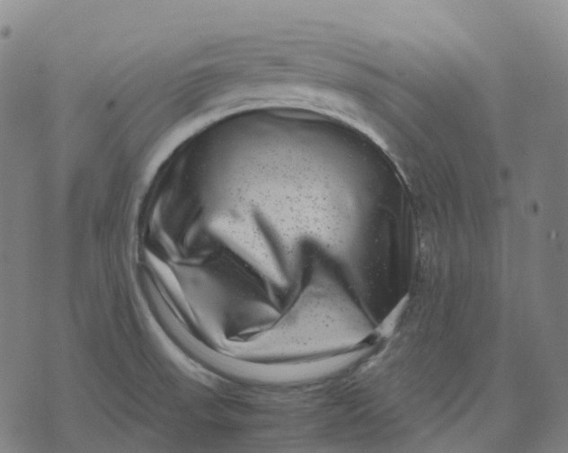 X0000071781523200607211544