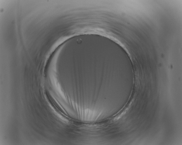 X0000071781525200607211544