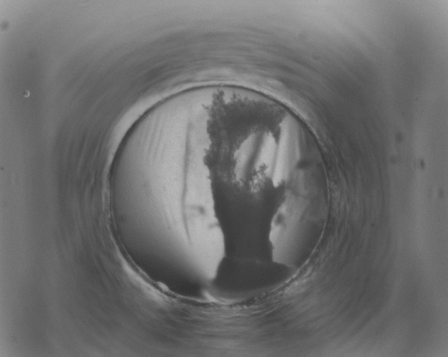 X0000071781527200607211544