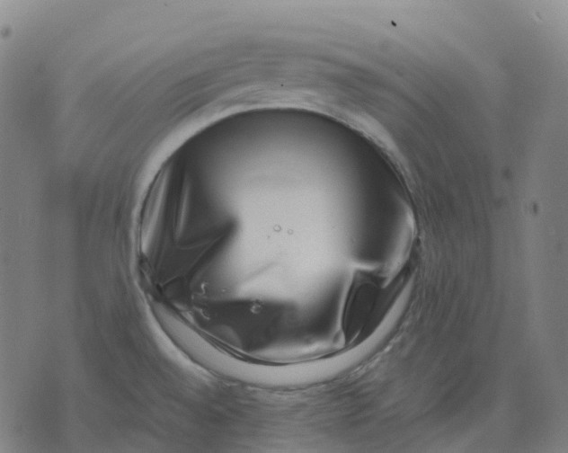 X0000071781528200607211544