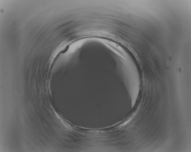 X0000071781529200607211544