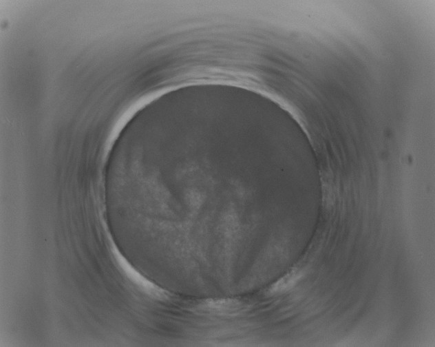 X0000071781531200607211544