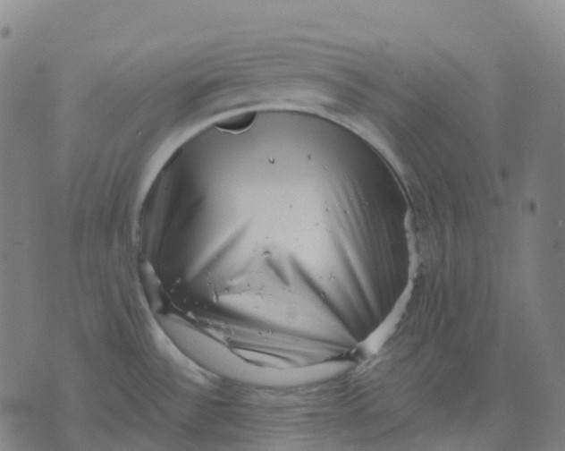 X0000071781532200607211544