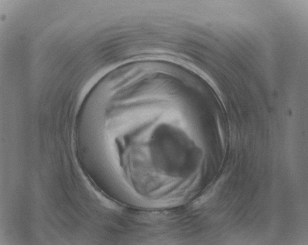 X0000071781533200607211544