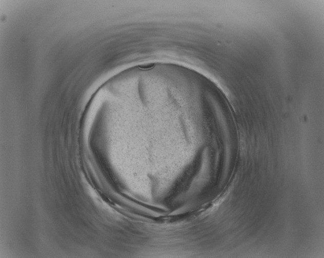 X0000071781534200607211544