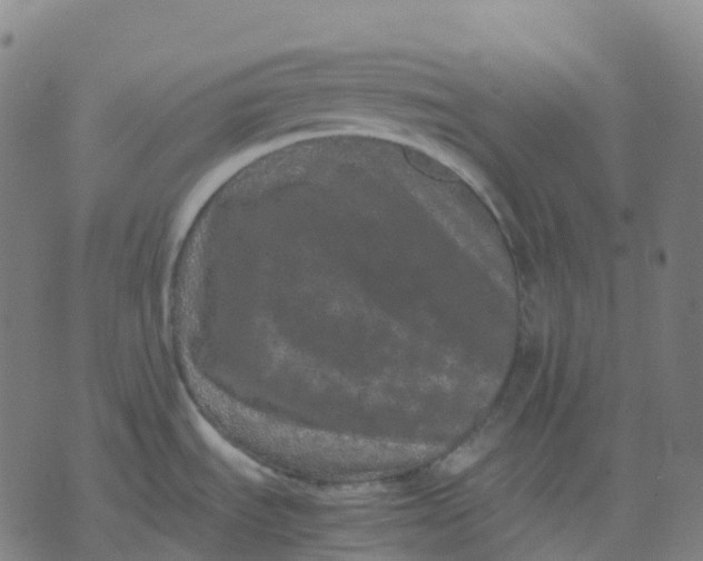 X0000071781535200607211544