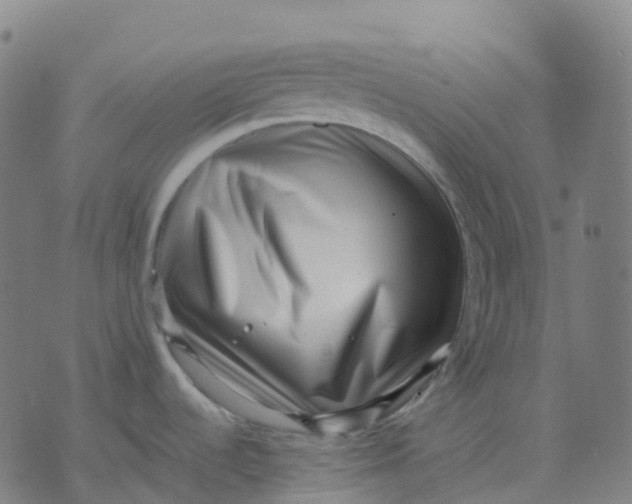 X0000071781536200607211544