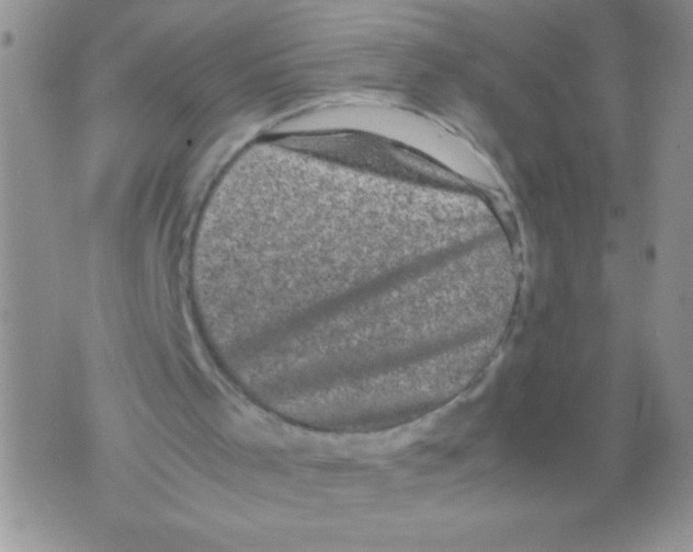 X0000071780001200607282249