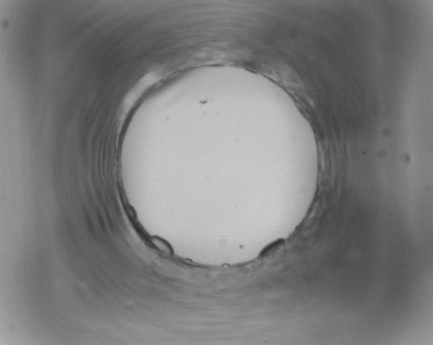 X0000071780003200607282249