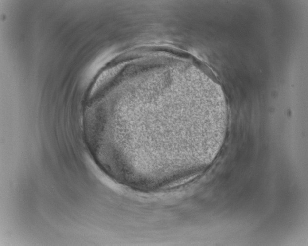 X0000071780005200607282249