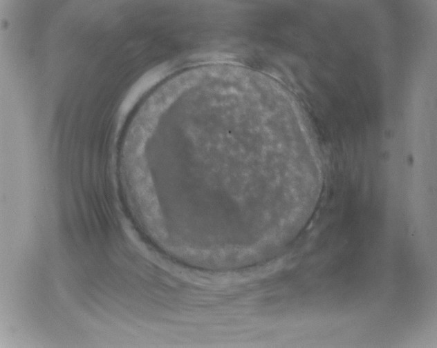 X0000071780006200607282249