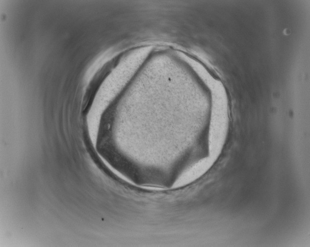 X0000071780007200607282249