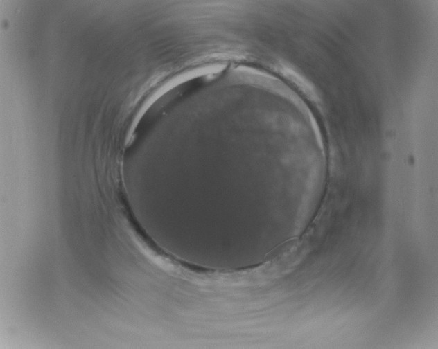 X0000071780009200607282249