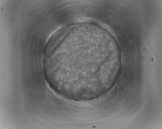 X0000071780010200607282249