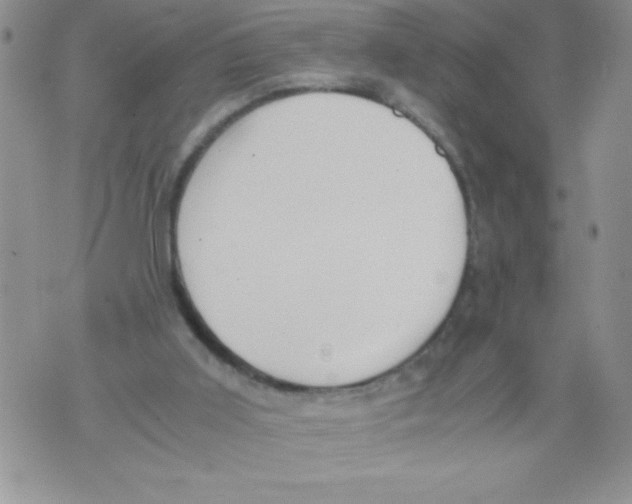 X0000071780011200607282249