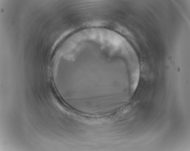 X0000071780012200607282249