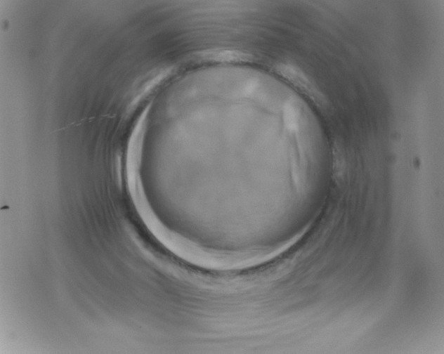 X0000071780014200607282249