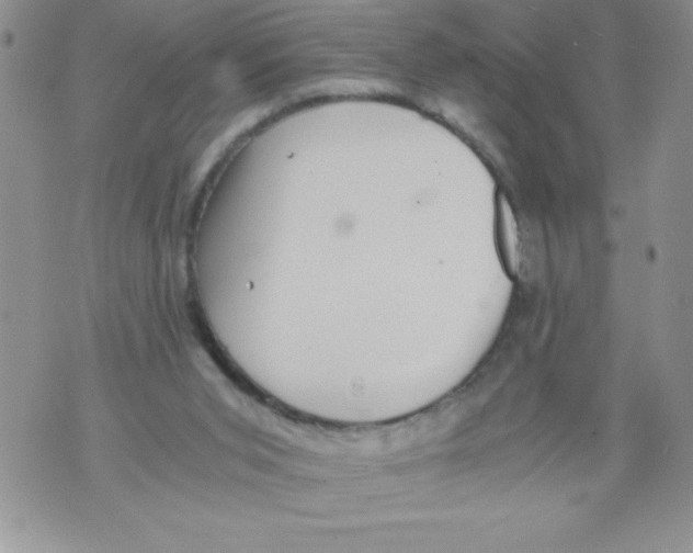 X0000071780015200607282249