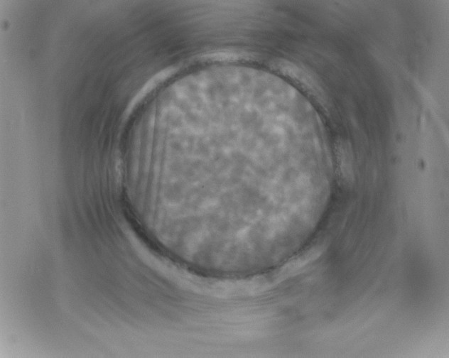 X0000071780016200607282249