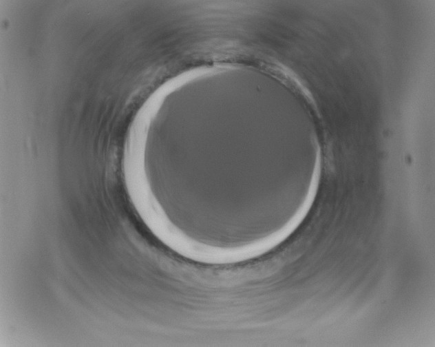 X0000071780018200607282249