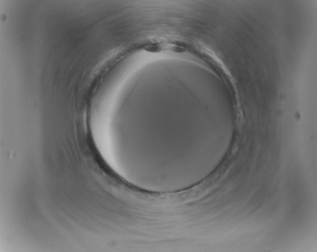 X0000071780019200607282249