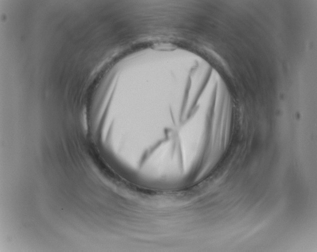 X0000071780020200607282249