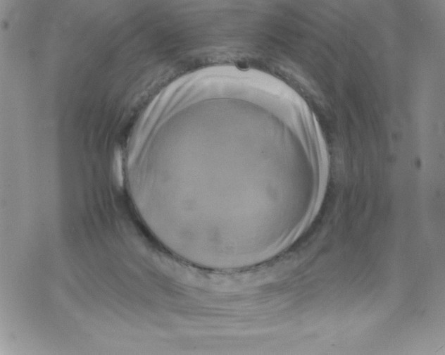 X0000071780022200607282249