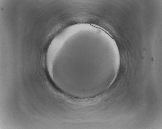 X0000071780023200607282249