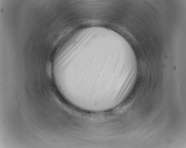 X0000071780024200607282249