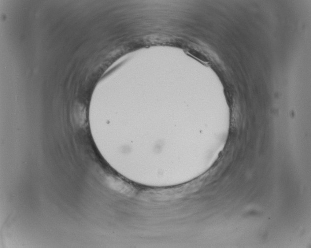 X0000071780025200607282249