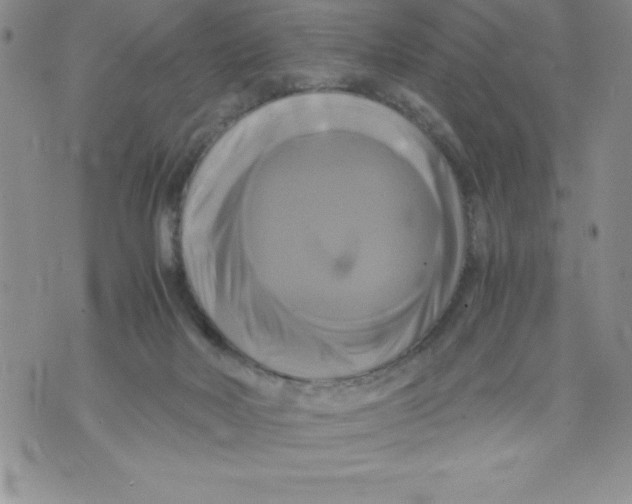 X0000071780026200607282249