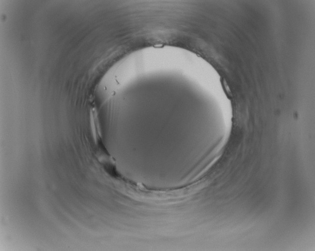 X0000071780027200607282249