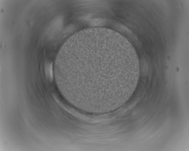 X0000071780028200607282249