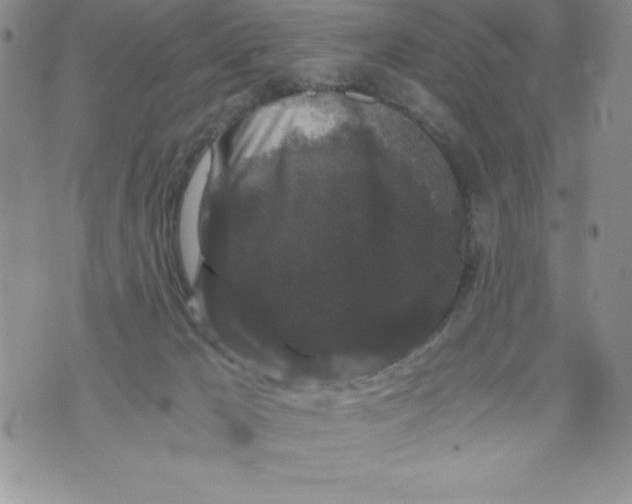 X0000071780029200607282249