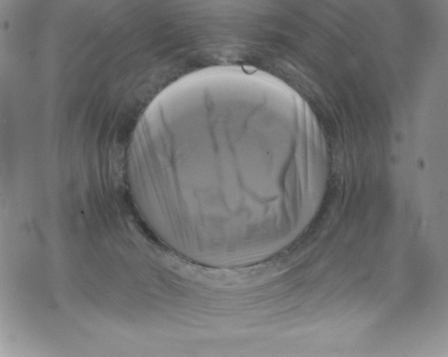 X0000071780030200607282249