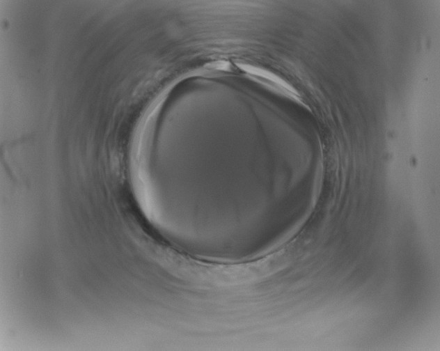 X0000071780031200607282249