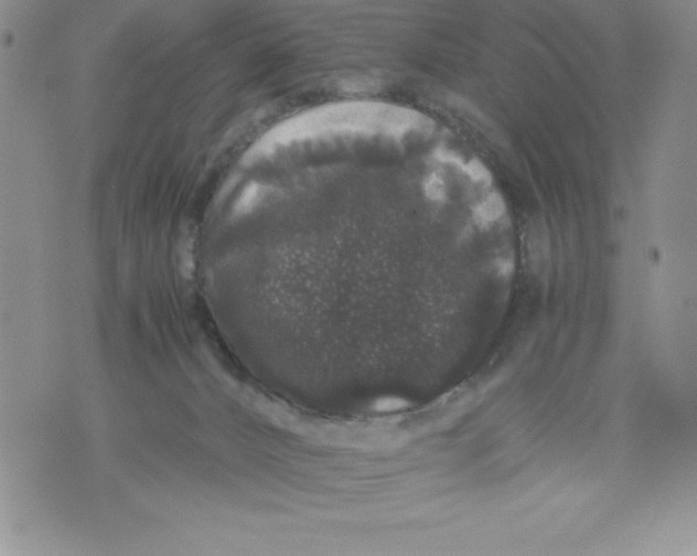 X0000071780032200607282249