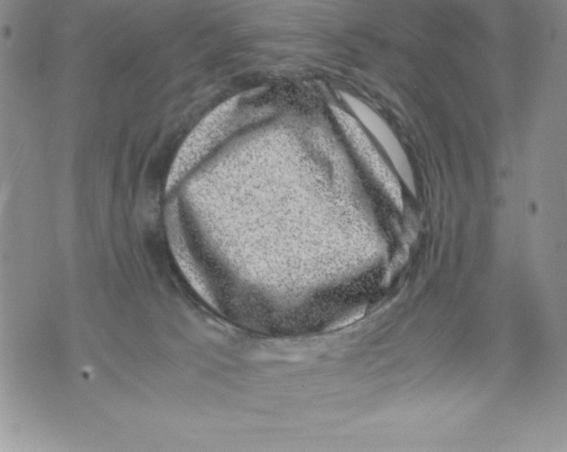 X0000071780033200607282249