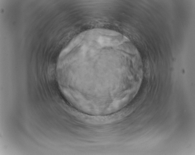 X0000071780034200607282249