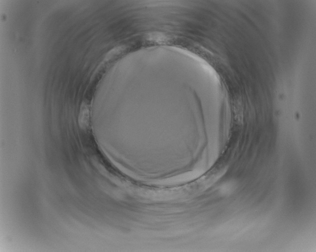 X0000071780036200607282249