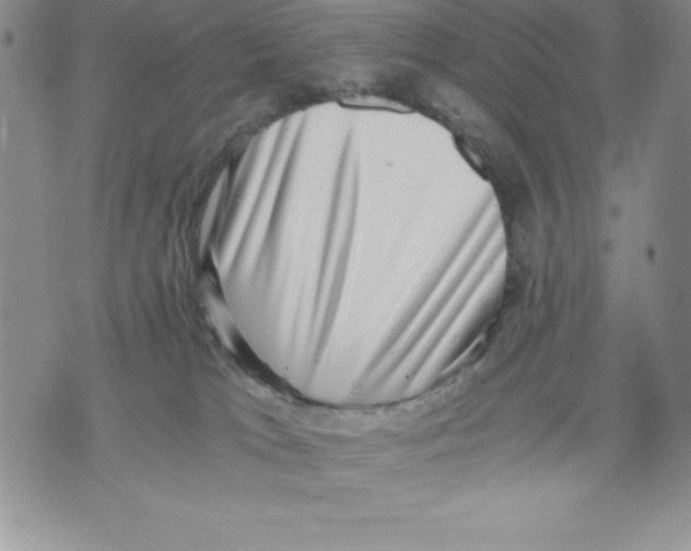 X0000071780037200607282249