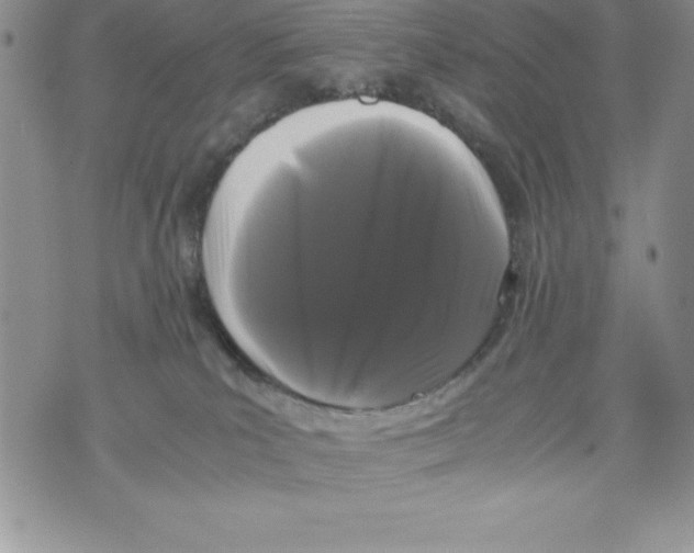 X0000071780039200607282249