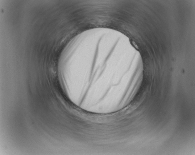 X0000071780040200607282249