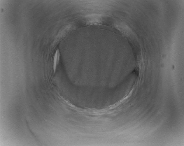 X0000071780041200607282249