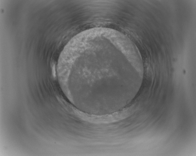 X0000071780042200607282249