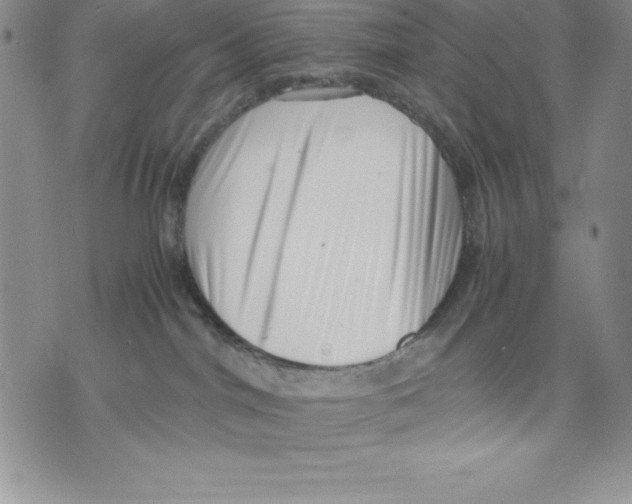 X0000071780044200607282249