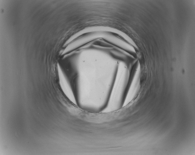 X0000071780045200607282249