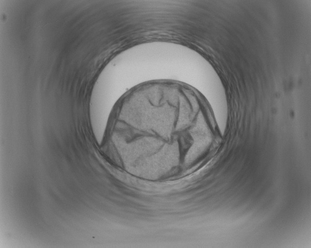 X0000071780047200607282249