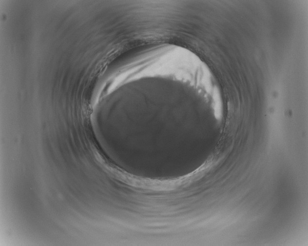 X0000071780048200607282249